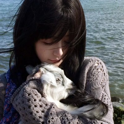 相棒剧场版海报
